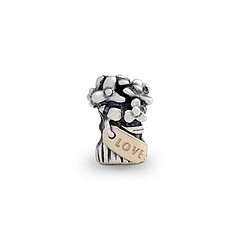 pandora jewelry charm